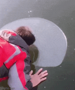 daily gifdump 47 gifs 6.html - 1 HD GIF | Premium Gallery 2026