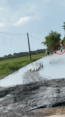 daily gifdump 47 gifs 6.html - 1 HD GIF | Premium Gallery 2026
