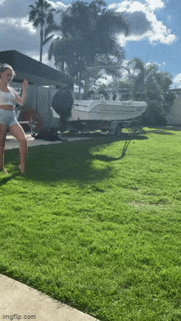 daily gifdump 47 gifs 6.html - 1 HD GIF | Premium Gallery 2026