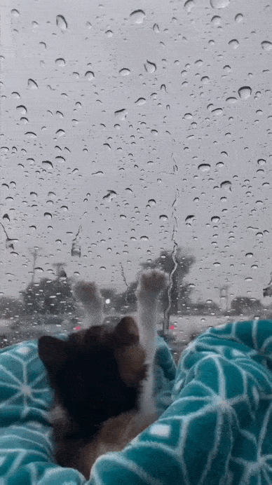 daily gifdump 47 gifs 6.html - 1 HD GIF | Premium Gallery 2026