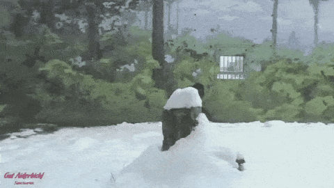 daily gifdump 47 gifs 6.html - 1 HD GIF | Premium Gallery 2026