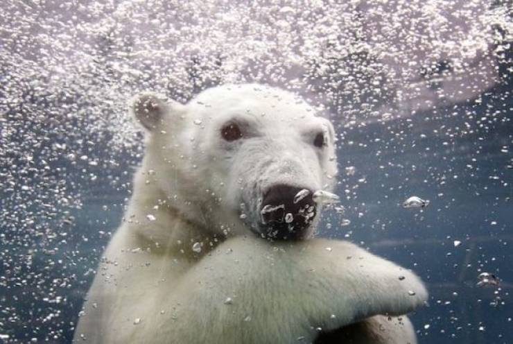 Daily Picdump