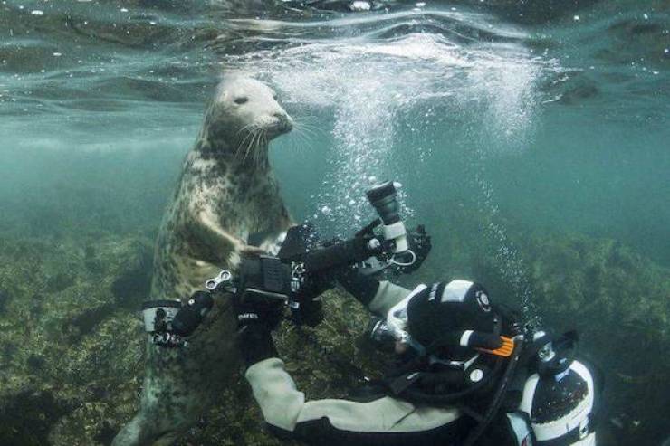 Daily Picdump
