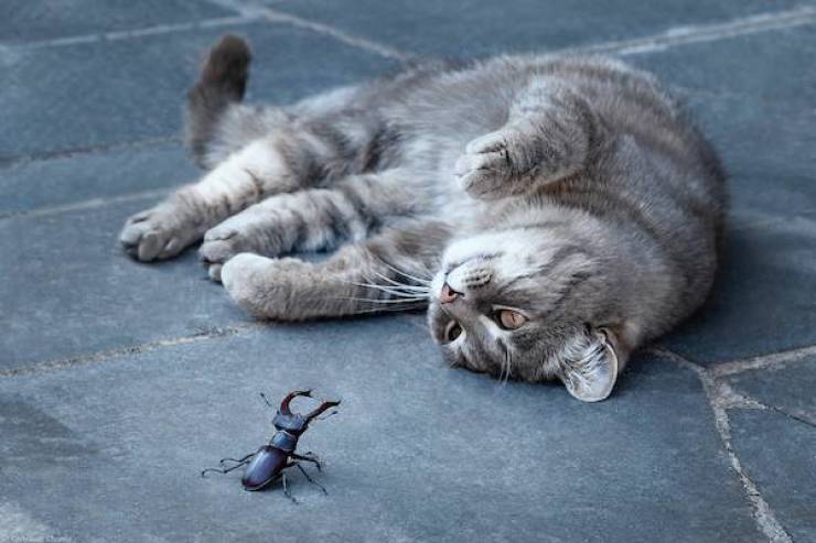 Daily Picdump