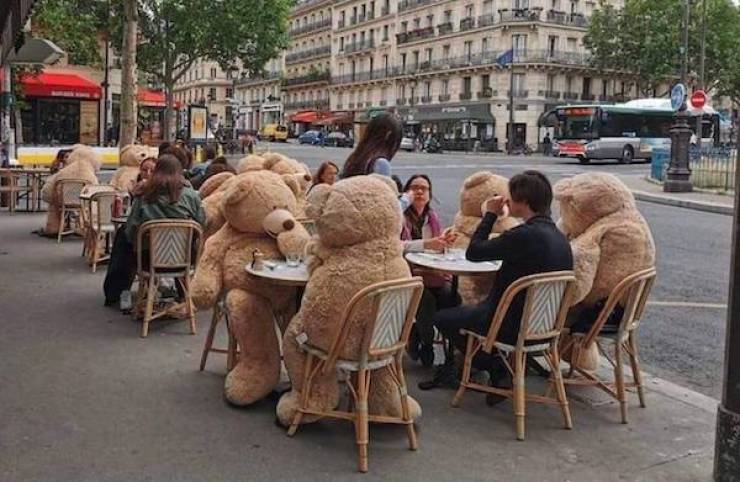 Daily Picdump