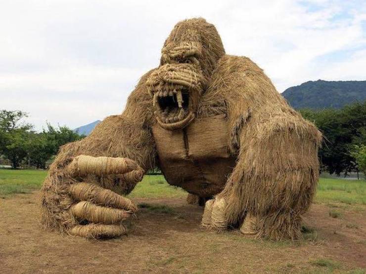 Daily Picdump