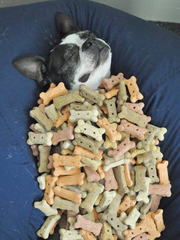 Daily Picdump