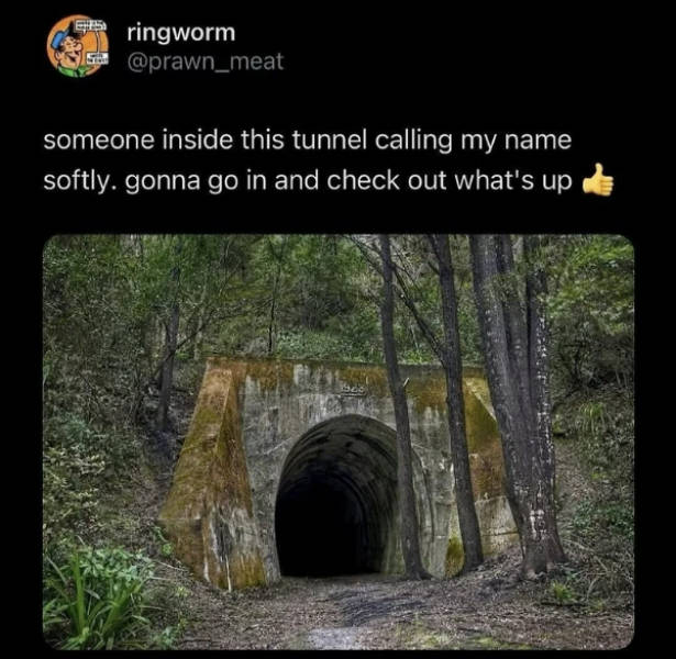prescribed daily dose of dank memes 34 pics 15.html - 34 HD Photos | Premium Gallery 2026