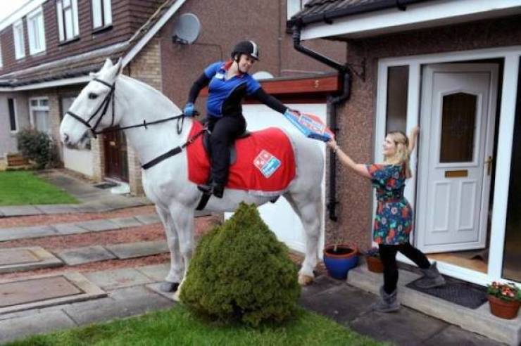 daily picdump 41 pics 1.html - 41 HD Photos | Premium Gallery 2026