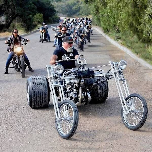 daily picdump 41 pics 1.html - 41 HD Photos | Premium Gallery 2026