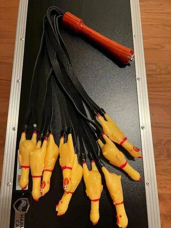 daily picdump 41 pics 1.html - 41 HD Photos | Premium Gallery 2026