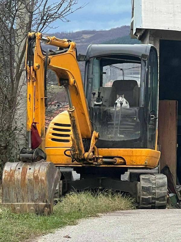 daily picdump 41 pics 1.html - 41 HD Photos | Premium Gallery 2026
