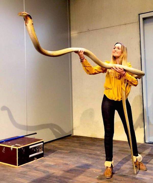 daily picdump 47 pics 2.html - 47 HD Photos | Premium Gallery 2026
