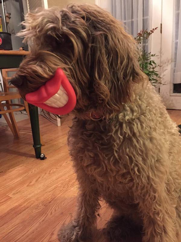 daily picdump 47 pics 2.html - 47 HD Photos | Premium Gallery 2026