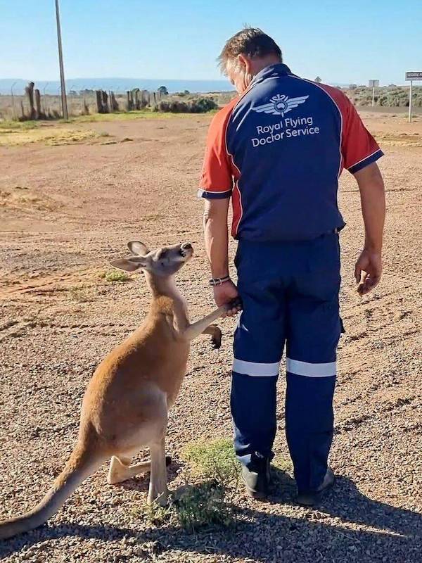 daily picdump 47 pics 2.html - 47 HD Photos | Premium Gallery 2026