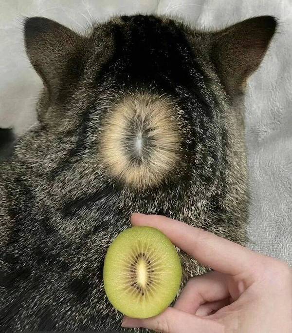daily picdump 47 pics 2.html - 47 HD Photos | Premium Gallery 2026