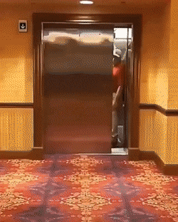 daily gifdump 54 gifs 1.html - 1 HD GIF | Premium Gallery 2026