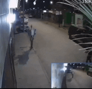 daily gifdump 54 gifs 1.html - 1 HD GIF | Premium Gallery 2026