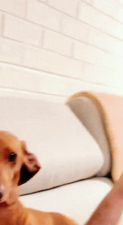 daily gifdump 54 gifs 1.html - 1 HD GIF | Premium Gallery 2026