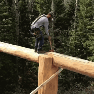 daily gifdump 54 gifs 1.html - 1 HD GIF | Premium Gallery 2026