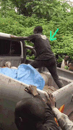 daily gifdump 54 gifs 1.html - 1 HD GIF | Premium Gallery 2026