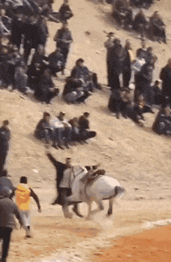 daily gifdump 54 gifs 1.html - 1 HD GIF | Premium Gallery 2026