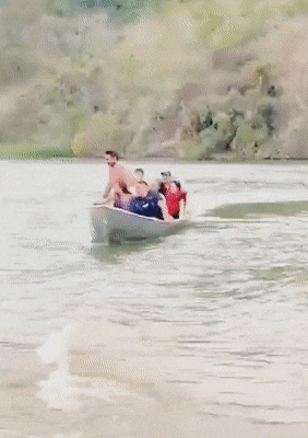 daily gifdump 54 gifs 1.html - 1 HD GIF | Premium Gallery 2026