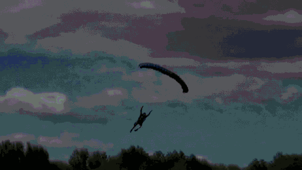 daily gifdump 54 gifs 1.html - 1 HD GIF | Premium Gallery 2026