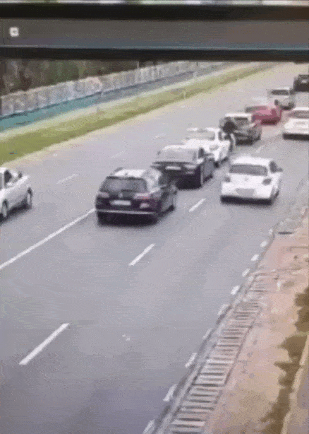 daily gifdump 54 gifs 1.html - 1 HD GIF | Premium Gallery 2026