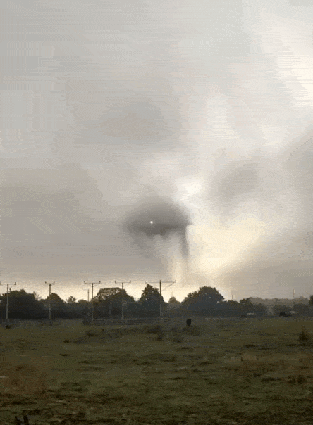 daily gifdump 54 gifs 1.html - 1 HD GIF | Premium Gallery 2026