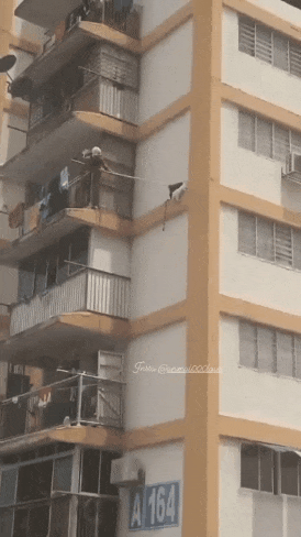 daily gifdump 54 gifs 1.html - 1 HD GIF | Premium Gallery 2026