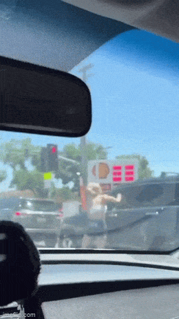 daily gifdump 54 gifs 1.html - 1 HD GIF | Premium Gallery 2026