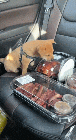 daily gifdump 54 gifs 1.html - 1 HD GIF | Premium Gallery 2026