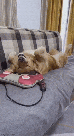 daily gifdump 54 gifs 1.html - 1 HD GIF | Premium Gallery 2026