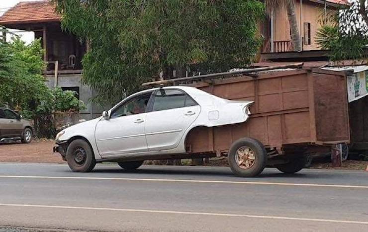 daily picdump 39 pics 10.html - 39 HD Photos | Premium Gallery 2026