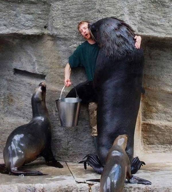 daily picdump 39 pics 10.html - 39 HD Photos | Premium Gallery 2026
