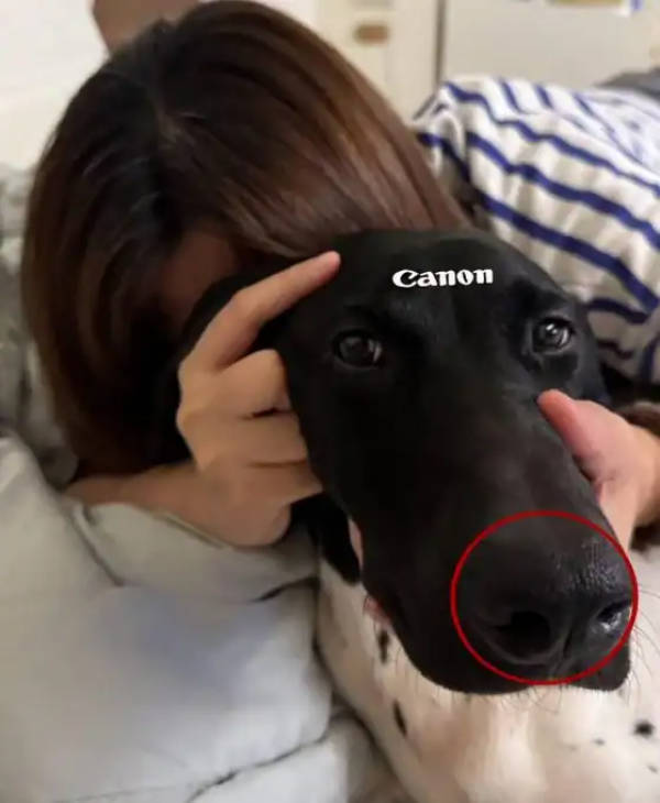 daily picdump 39 pics 10.html - 39 HD Photos | Premium Gallery 2026