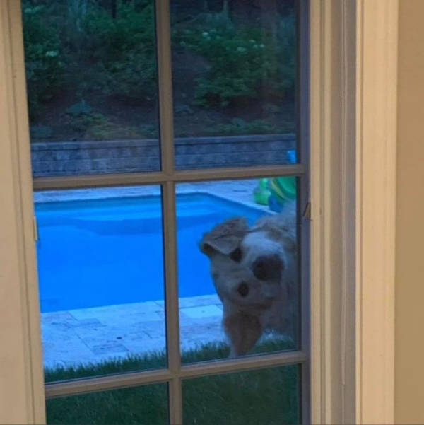 daily picdump 39 pics 10.html - 39 HD Photos | Premium Gallery 2026
