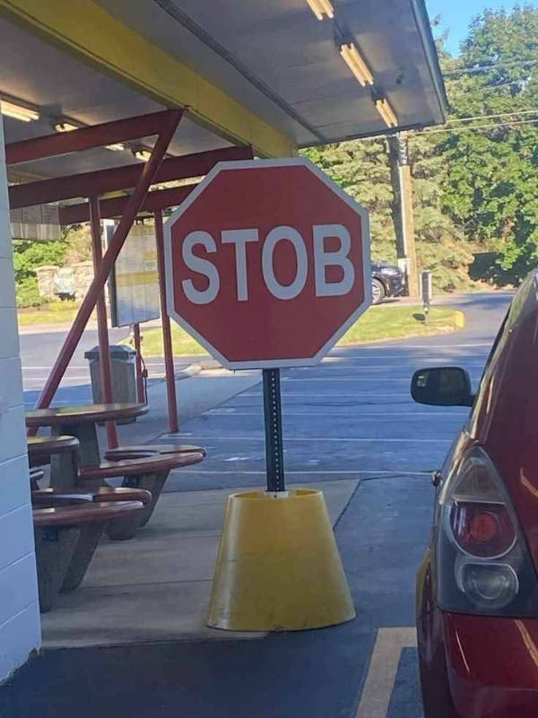 daily picdump 39 pics 10.html - 39 HD Photos | Premium Gallery 2026