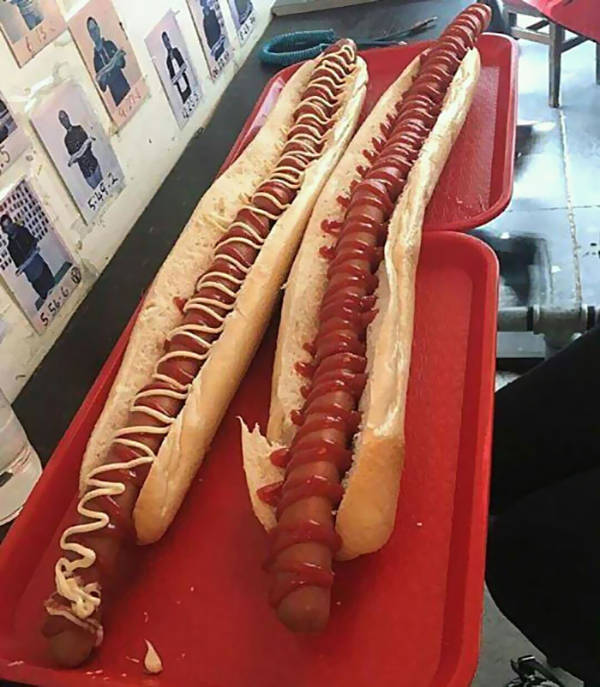 daily picdump 39 pics 10.html - 39 HD Photos | Premium Gallery 2026
