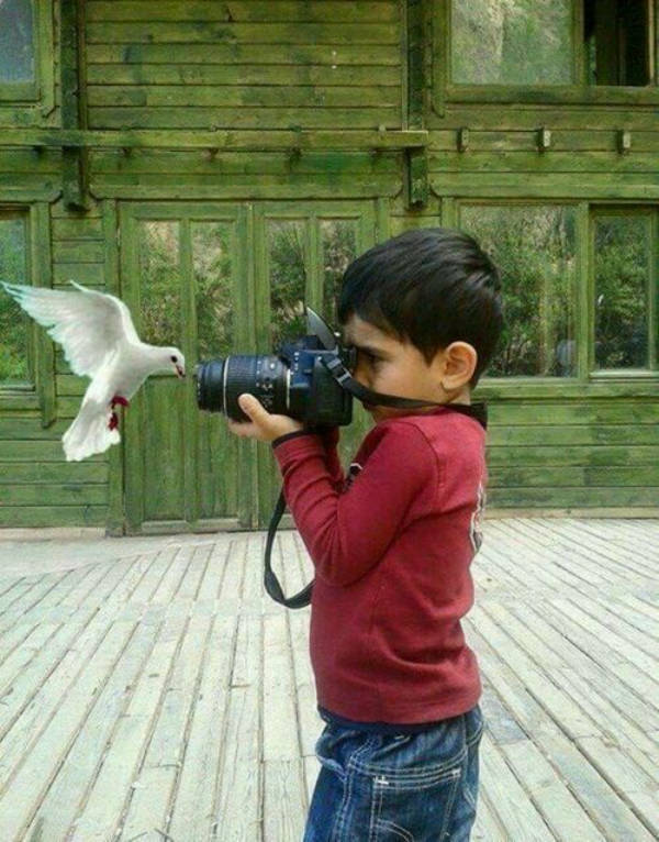 daily picdump 39 pics 10.html - 39 HD Photos | Premium Gallery 2026