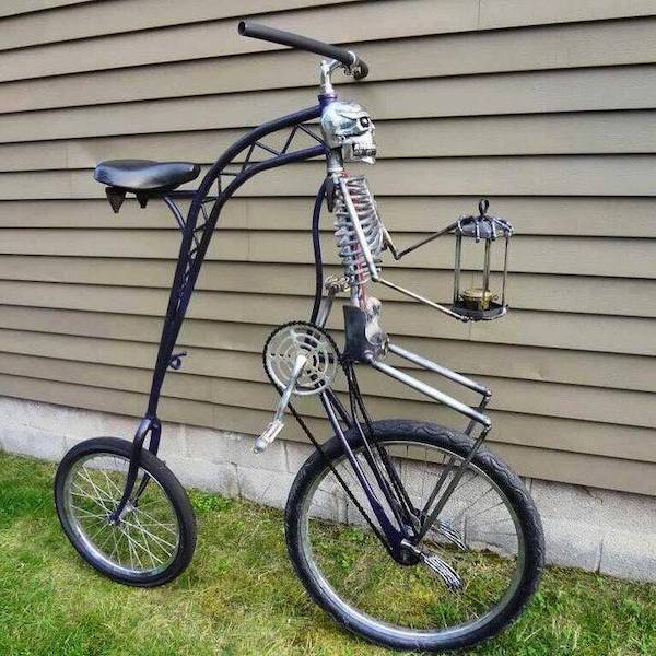 Daily Picdump