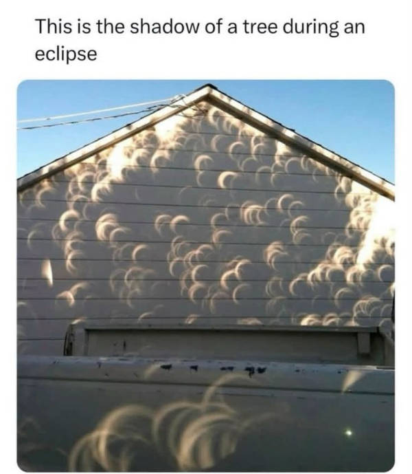 daily picdump 43 pics 10.html - 43 HD Photos | Premium Gallery 2026