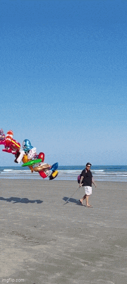 daily gifdump 47 gifs 1.html - 1 HD GIF | Premium Gallery 2026