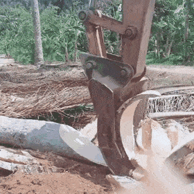 daily gifdump 47 gifs 1.html - 1 HD GIF | Premium Gallery 2026