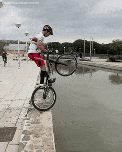 daily gifdump 47 gifs 1.html - 1 HD GIF | Premium Gallery 2026