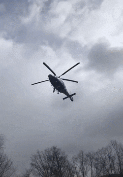 daily gifdump 47 gifs 1.html - 1 HD GIF | Premium Gallery 2026