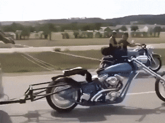 daily gifdump 47 gifs 1.html - 1 HD GIF | Premium Gallery 2026