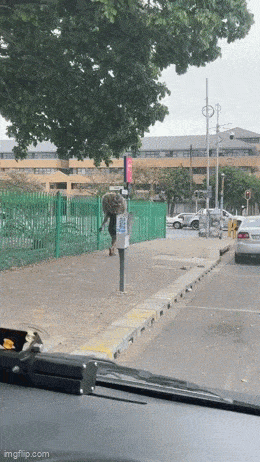 daily gifdump 47 gifs 1.html - 1 HD GIF | Premium Gallery 2026