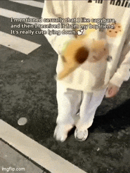 daily gifdump 47 gifs 1.html - 1 HD GIF | Premium Gallery 2026